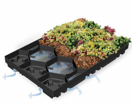 Ecosedum_Pack_Schnitt