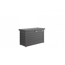 Biohort FreizeitBox, Biohort Farbton: dunkelgrau-metallic