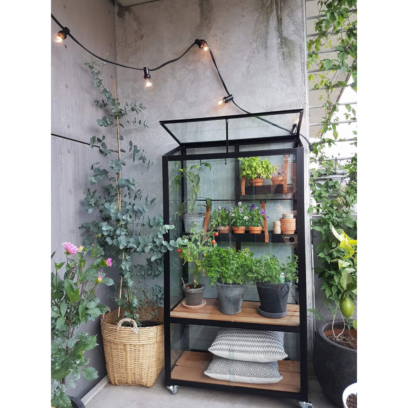 City_Greenhouse_Balkon