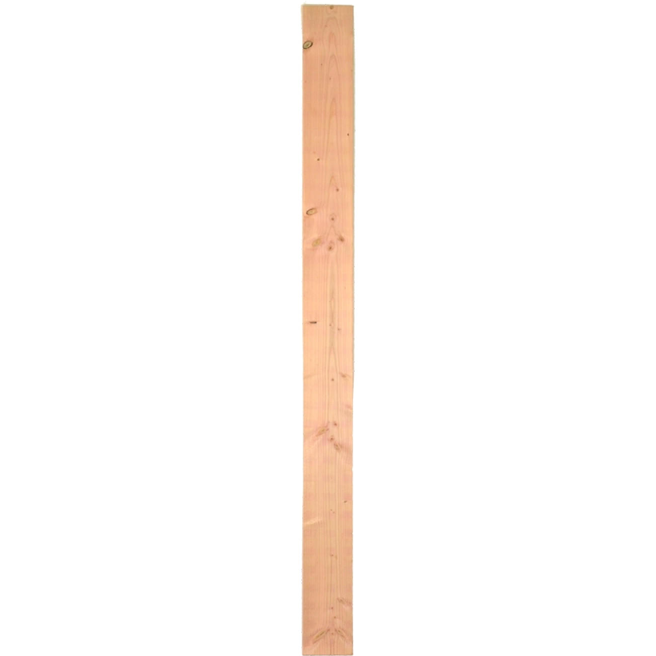 AALBORG-Serie, Lärche Füllbrett 14 x 180 cm, 16 mm stark