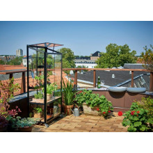 City_Greenhouse_Loft