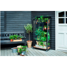 City_Greenhouse_Holzwand_fern