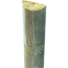 Halbrundriegel